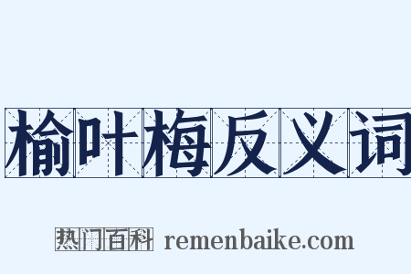 榆叶梅反义词是什么意思的图片